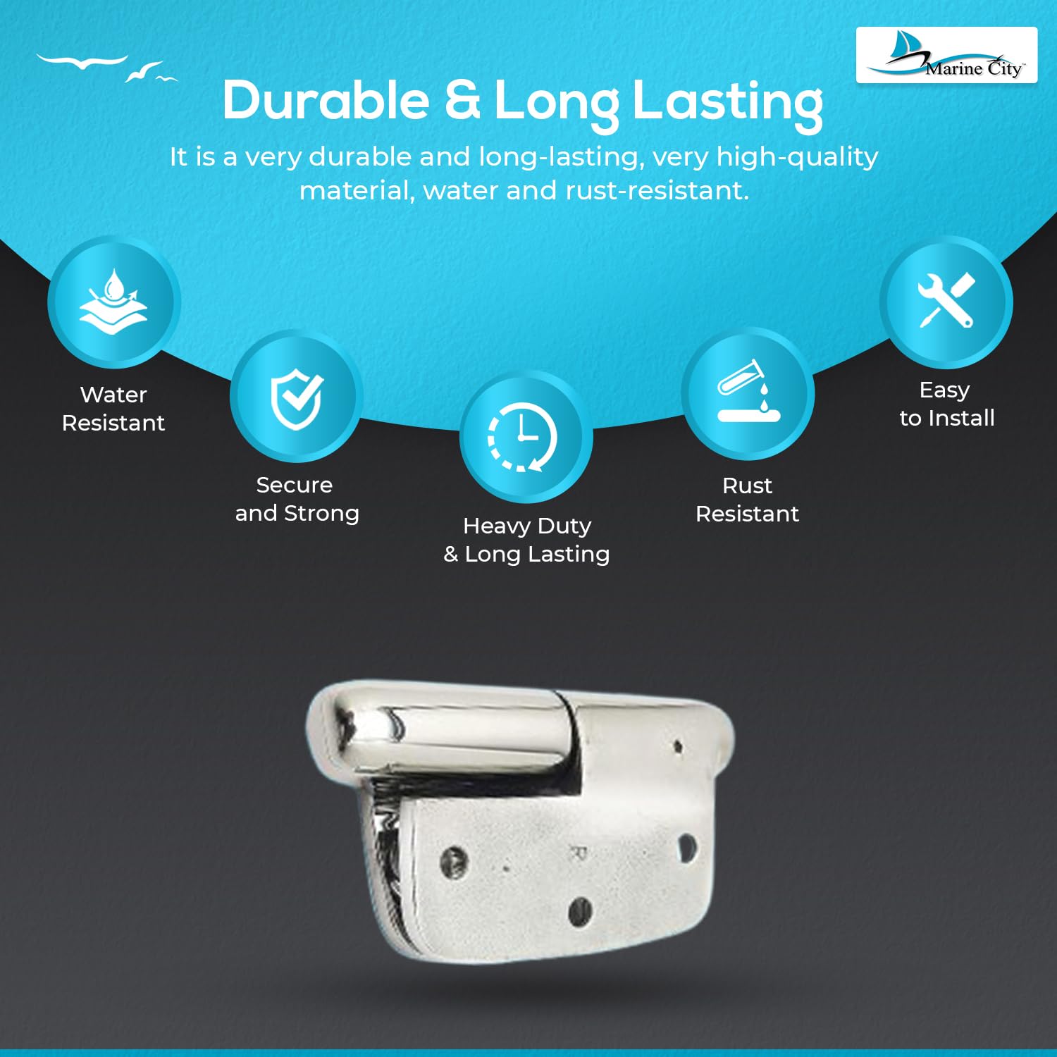 Marine City Boat Accessories Hinges Cabinet Door Hinges (Pack of 2) Marine City
