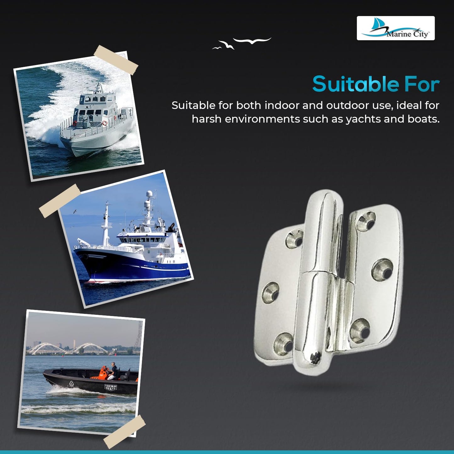 Marine City Boat Accessories Hinges Cabinet Door Hinges (Pack of 2) Marine City