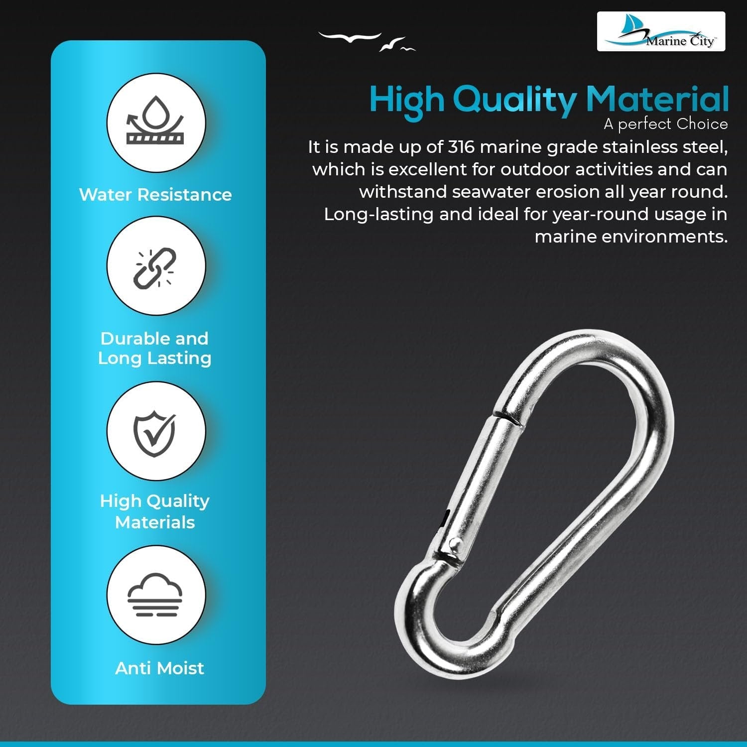 Marine City Carabiner Clip Snap Hook 2 Inches – 316 Stainless Steel, Durable MARINE CITY
