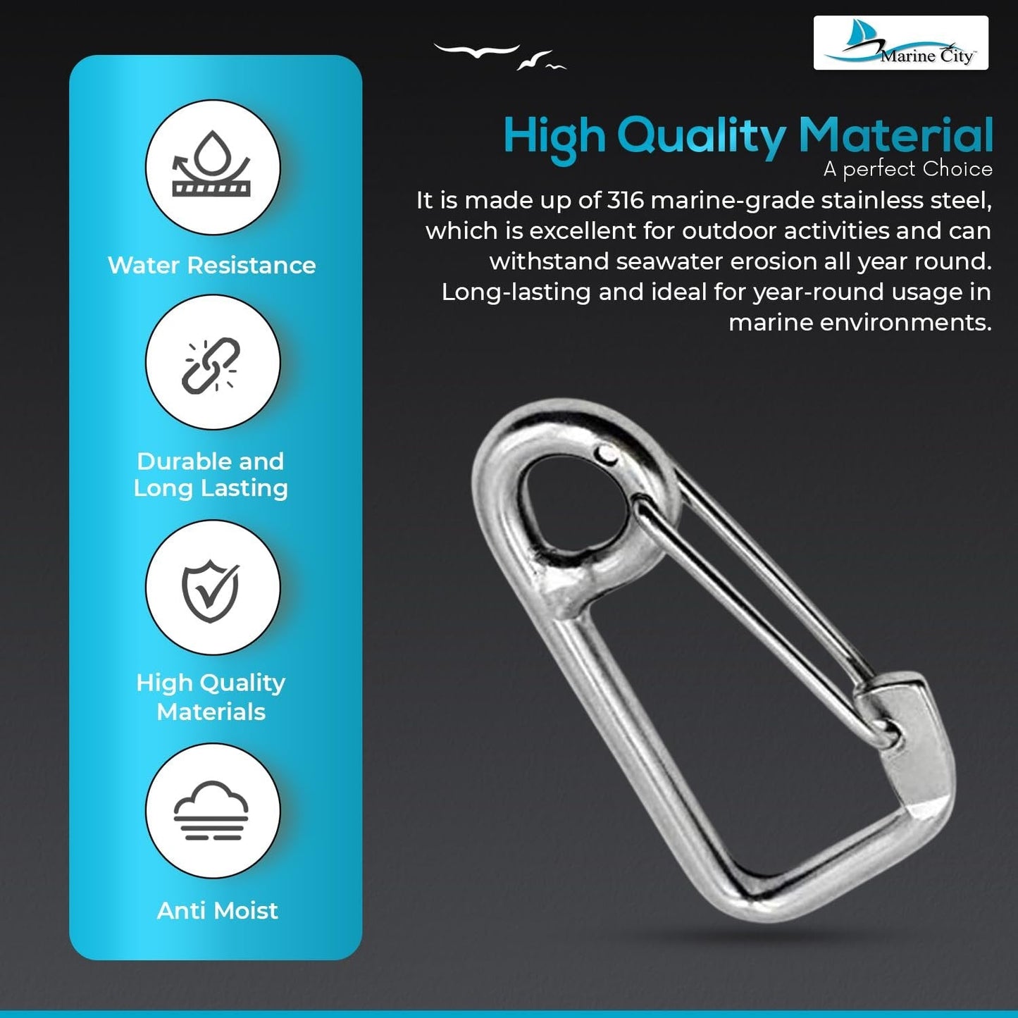 Marine City 316 Stainless Steel Carabiner Spring Snap Hook – 4 inches for Keys Marine City