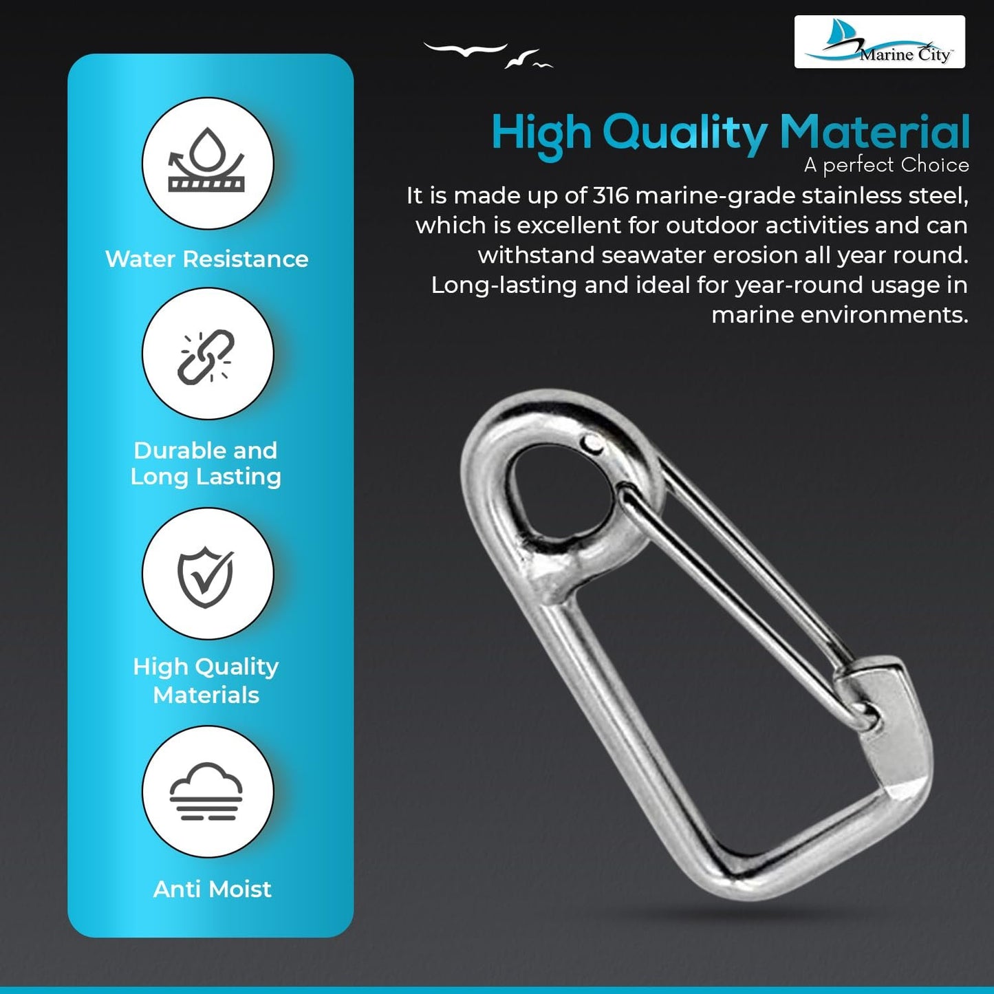 Marine City 316 Stainless Steel Carabiner Spring Snap Hook – 2” for Key