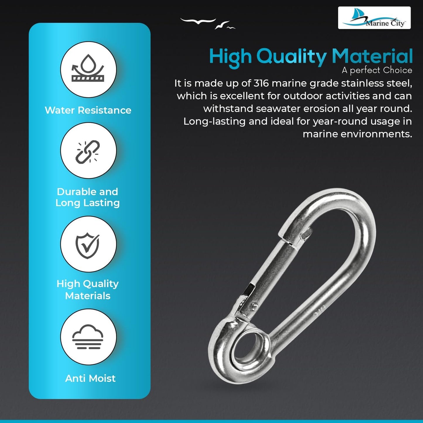 Marine City Carabiner Clip Snap Hook with Ring 2-3/4” Stainless Steel, Rustproof