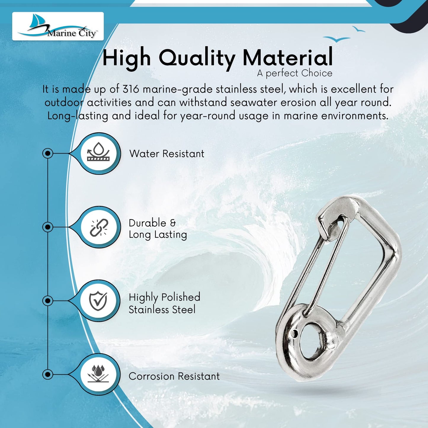 Marine City 316 Stainless Steel Carabiner Spring Snap Hook – 3 Inches for Keys