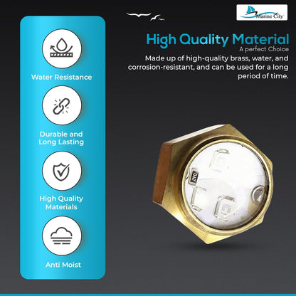 Marine City Brass Drain Multicolor LED Light – Underwater & Corrosion-Resistant