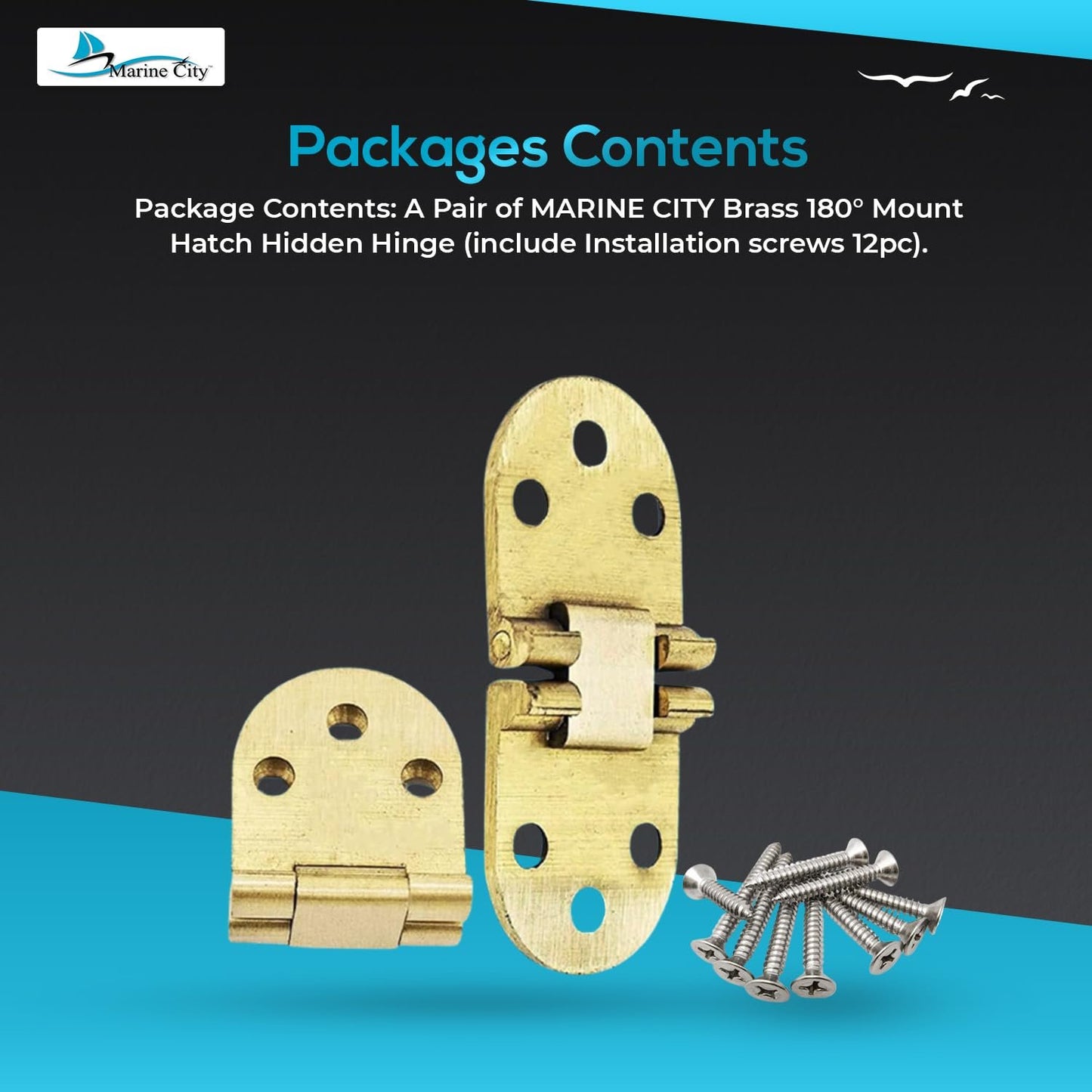 Marine City Hidden Hatch Hinges – Brass 180° Flush Mount, 2-13/16” (Pack of 2)