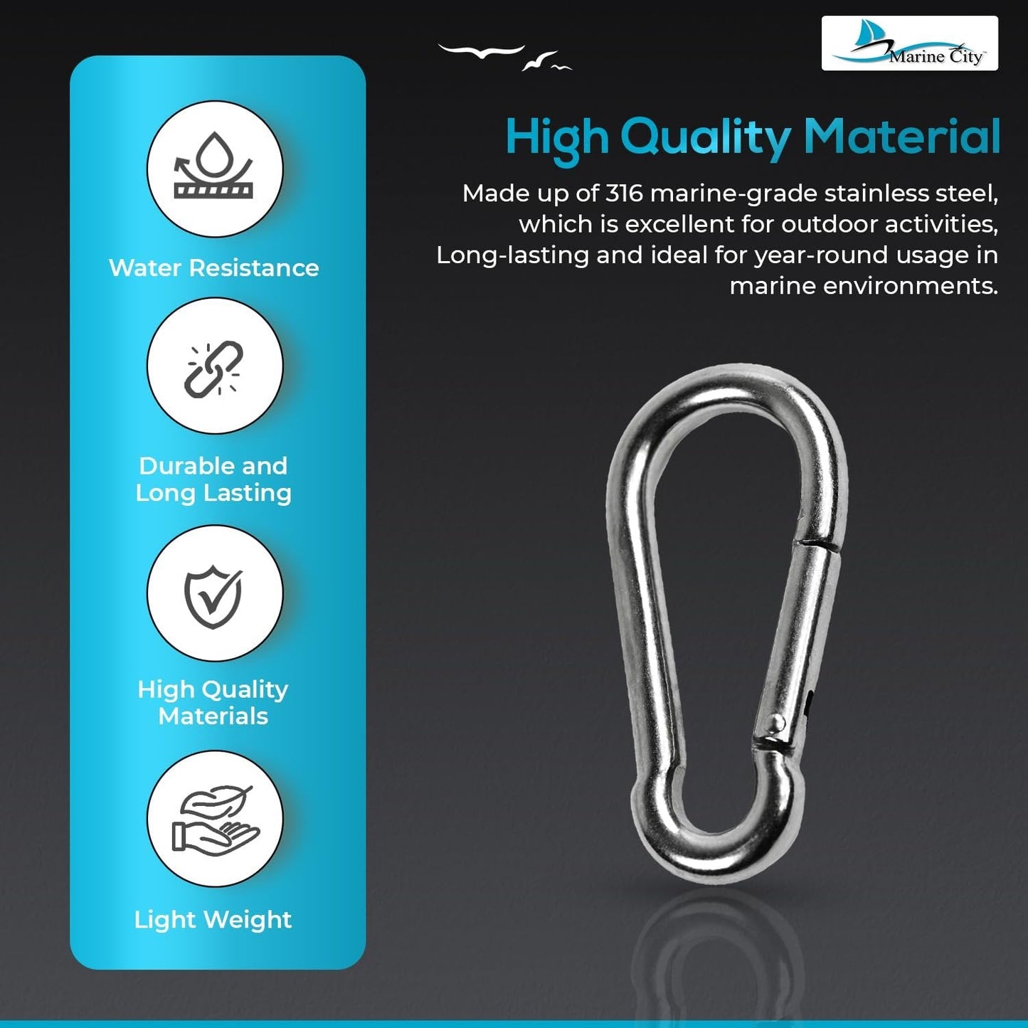 Marine City Carabiner Clip Snap Hook – Stainless Steel, 4", Durable (Pack of 2) MARINE CITY