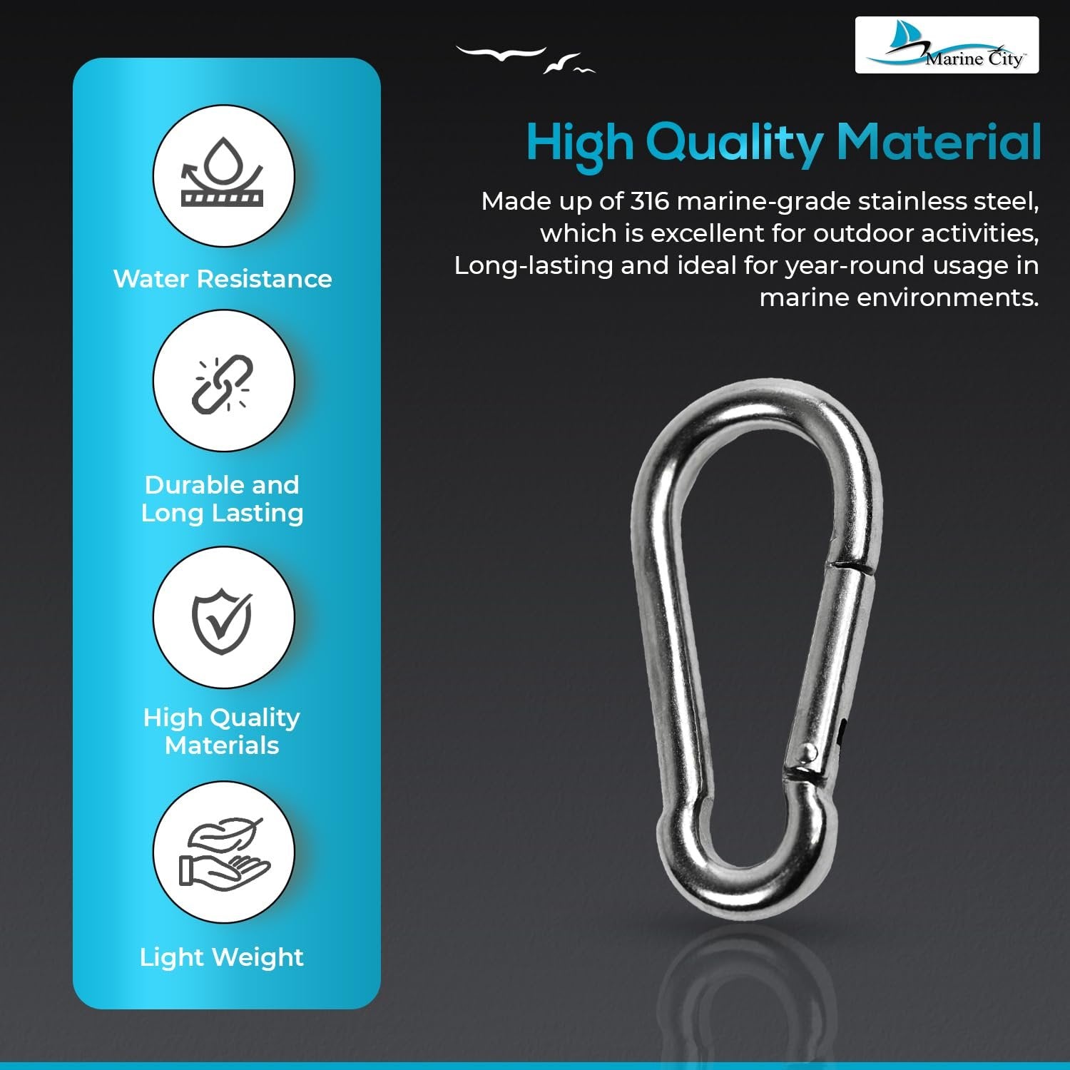 Marine City Carabiner Clip Snap Hook – Stainless Steel, 4", Durable (Pack of 2) MARINE CITY