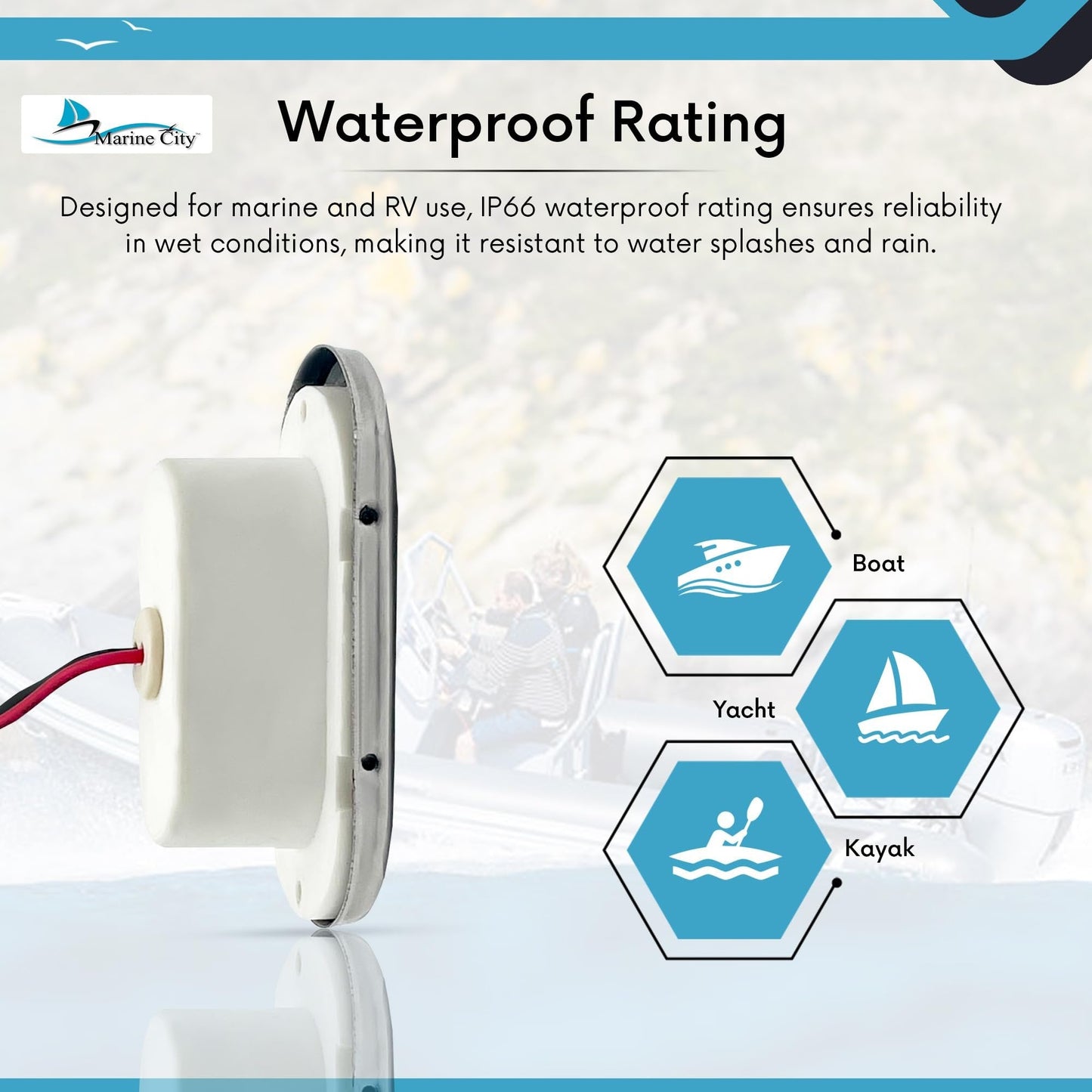 MARINE CITY IP66 LED Oval Courtesy Light – 24V 1.5W, Stainless Steel, Waterproof MARINE CITY