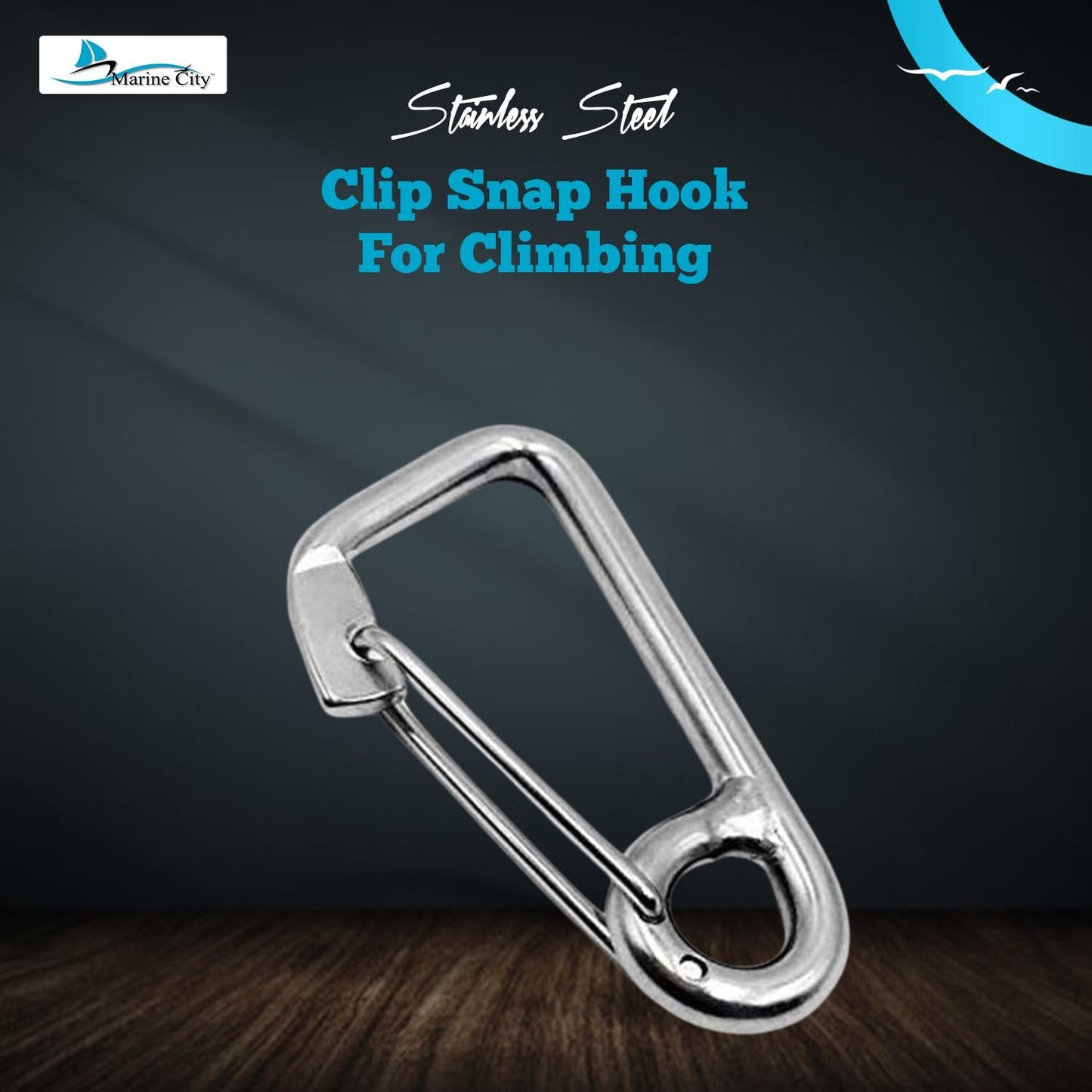 Marine City 316 Stainless Steel Carabiner Spring Snap Hook – 2” for Key