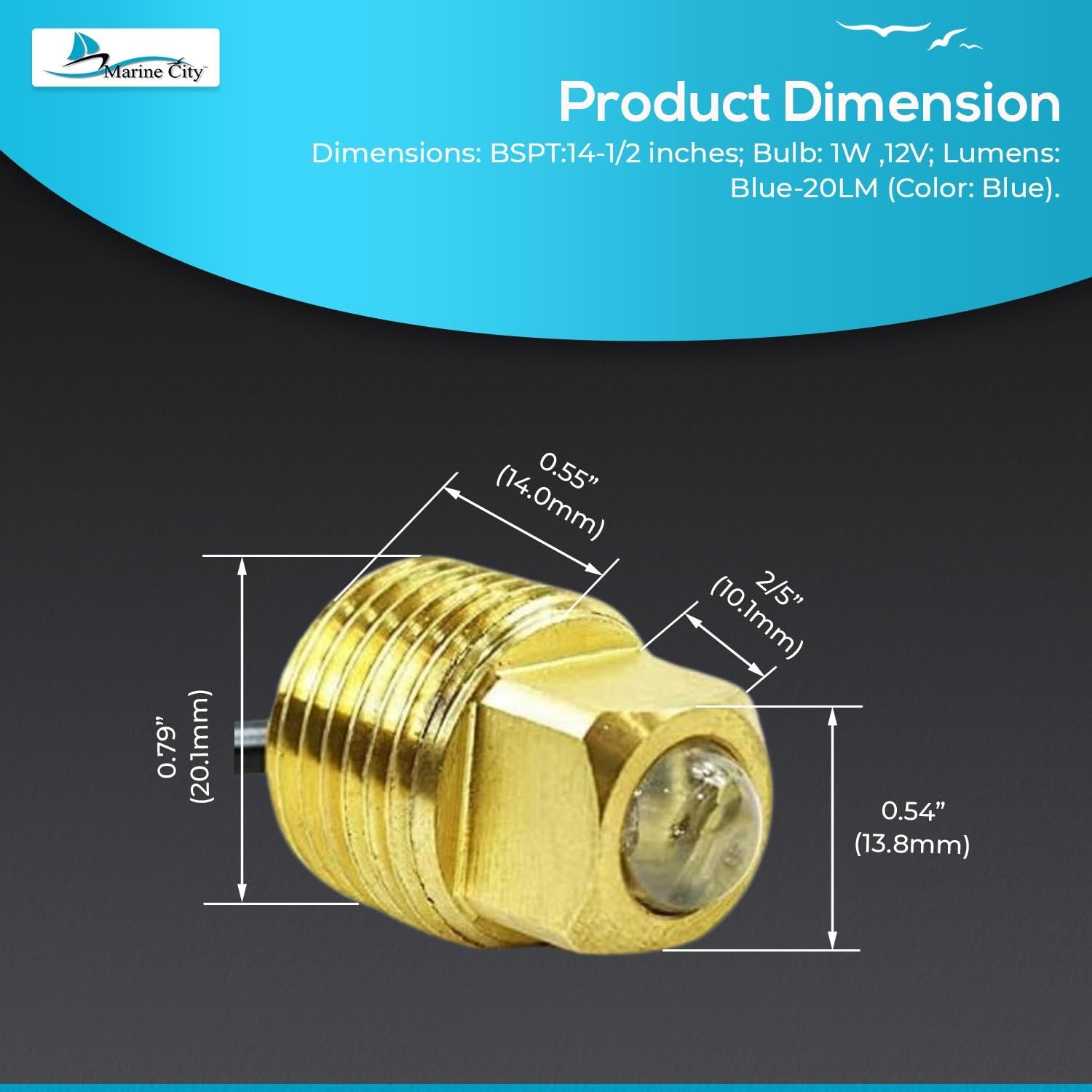 Marine City Brass Drain Plug LED Light – 20 Lumens Waterproof (Pack of 1) Marine CIty