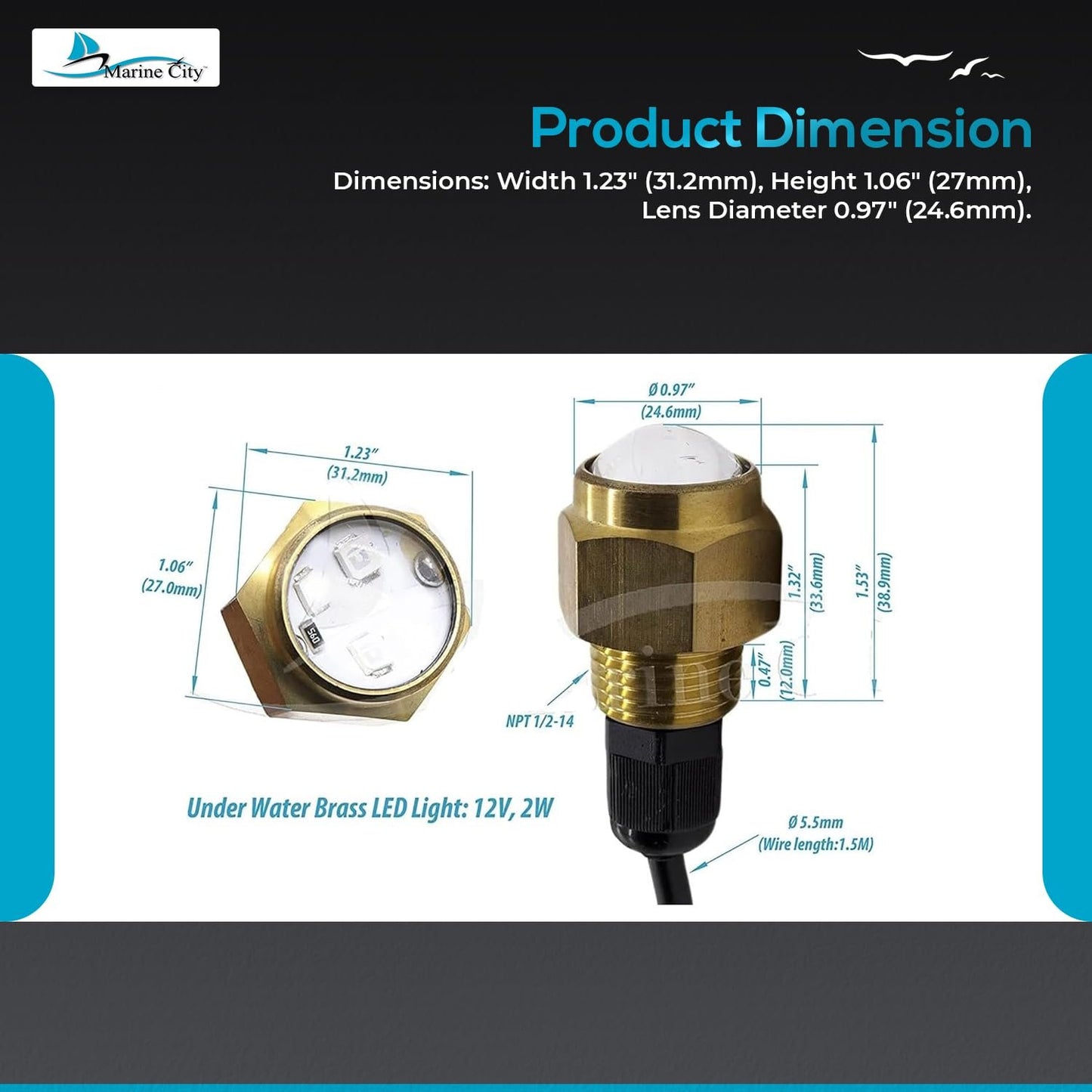Marine City Brass Drain Multicolor LED Light – Underwater & Corrosion-Resistant