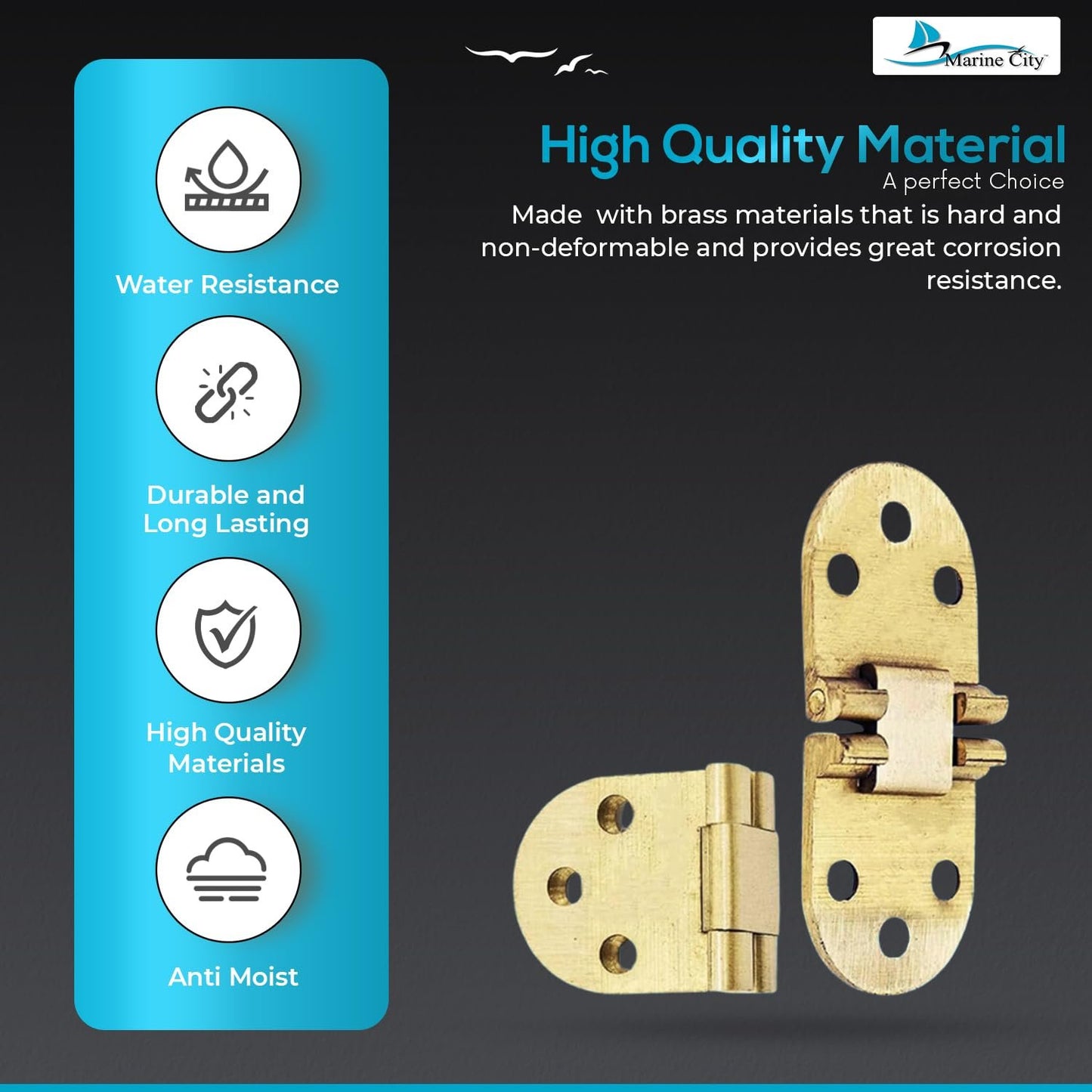 Marine City Hidden Hatch Hinges – Brass 180° Flush Mount, 2-13/16” (Pack of 2)