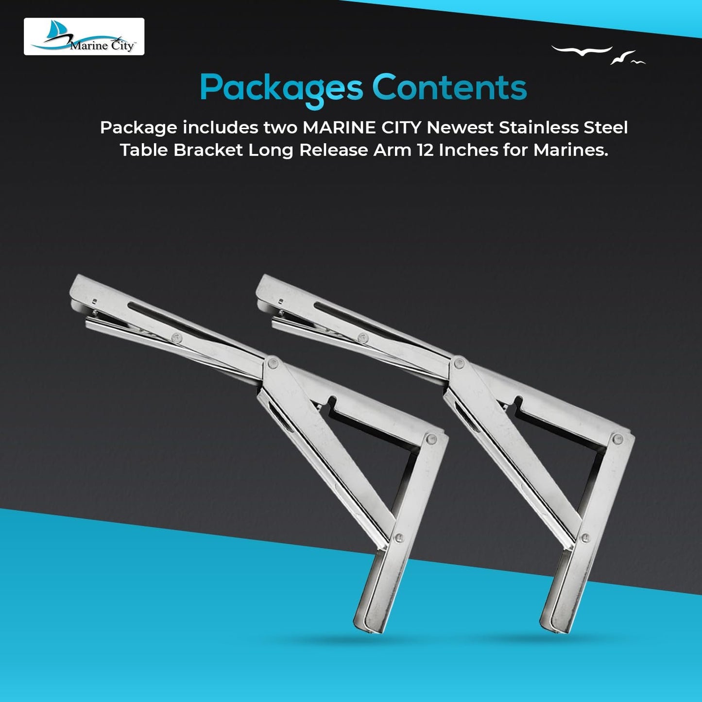 Marine City Soporte de mesa de acero inoxidable más nuevo - Brazo de liberación larga, 12" 330 LB (2 piezas) 
