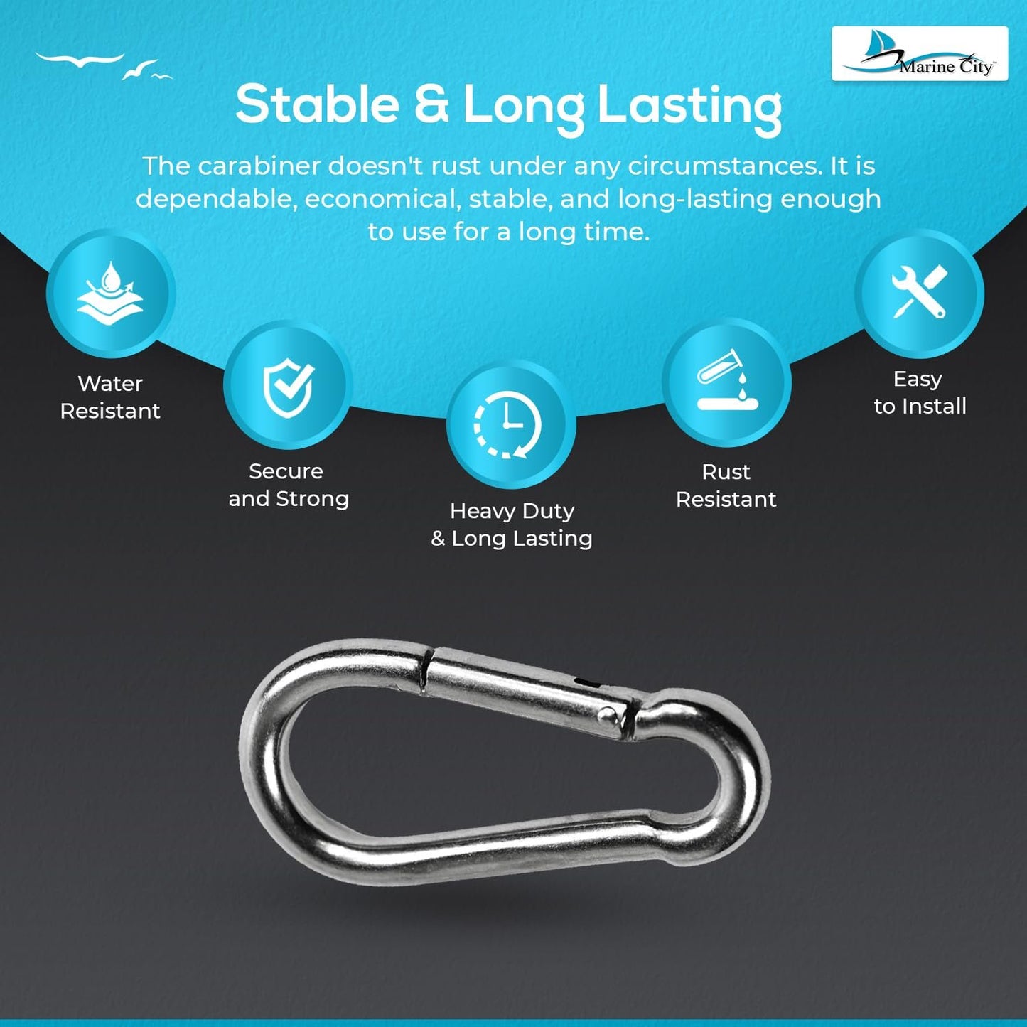 Marine City Carabiner Clip Snap Hook – 316 Stainless Steel, 4 Inches, Durable