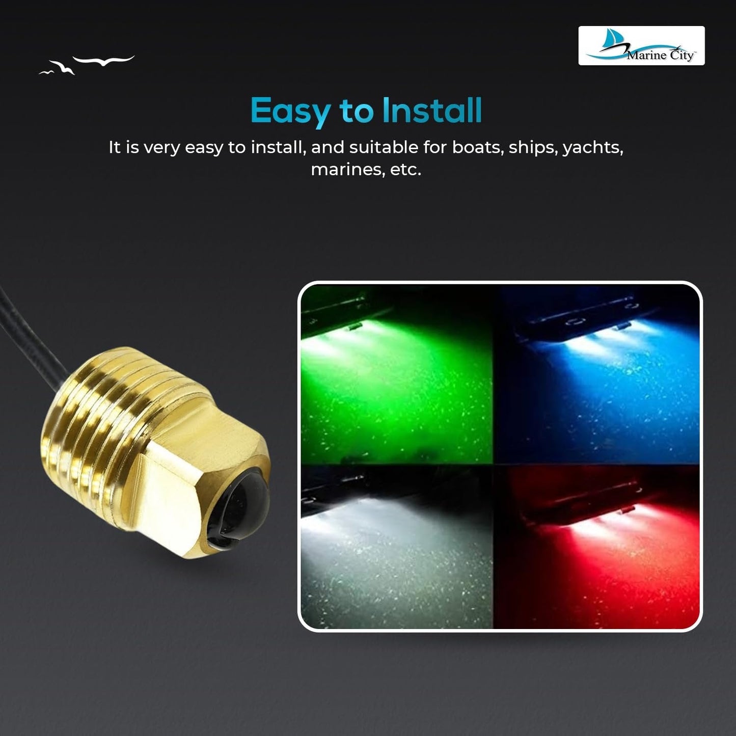 Marine City Brass Drain Plug LED Light – 20 Lumens Waterproof (Pack of 1) Marine CIty