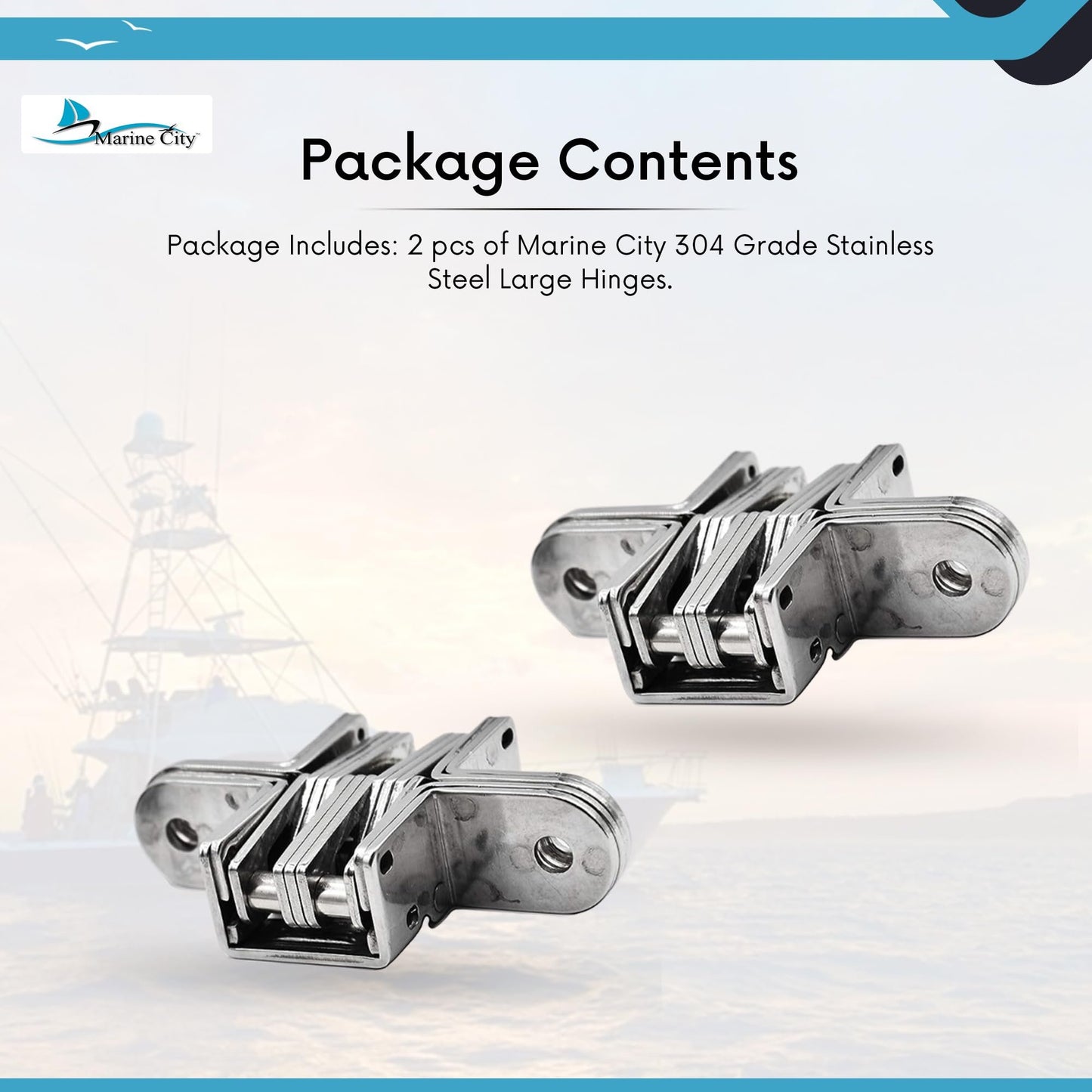 Marine City Large Hidden Hinges – 304 Stainless Steel Cabinet Hinges (2 Pcs)