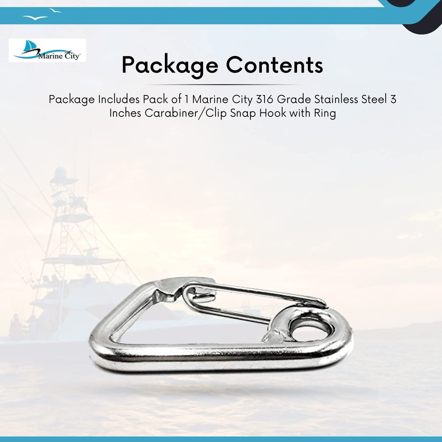 Marine City 316 Stainless Steel Carabiner Spring Snap Hook – 3 Inches for Keys